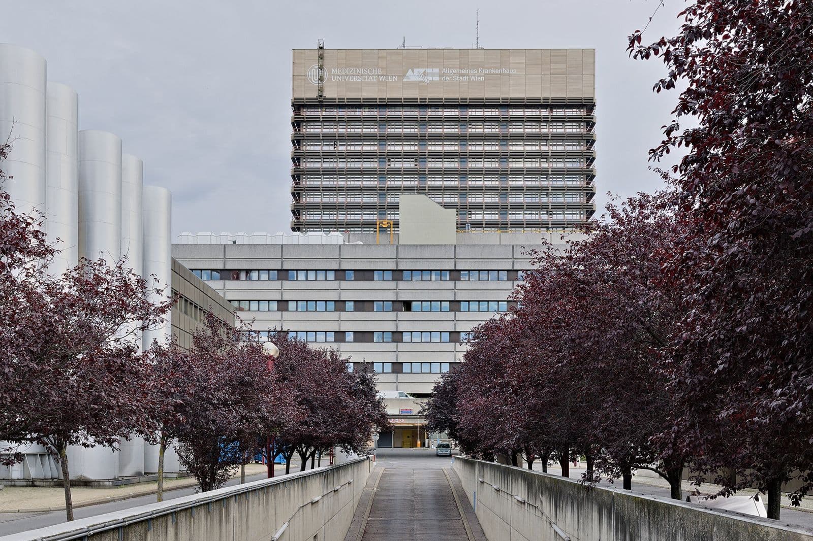 AKH Wien (Spitalul Universitar Viena)